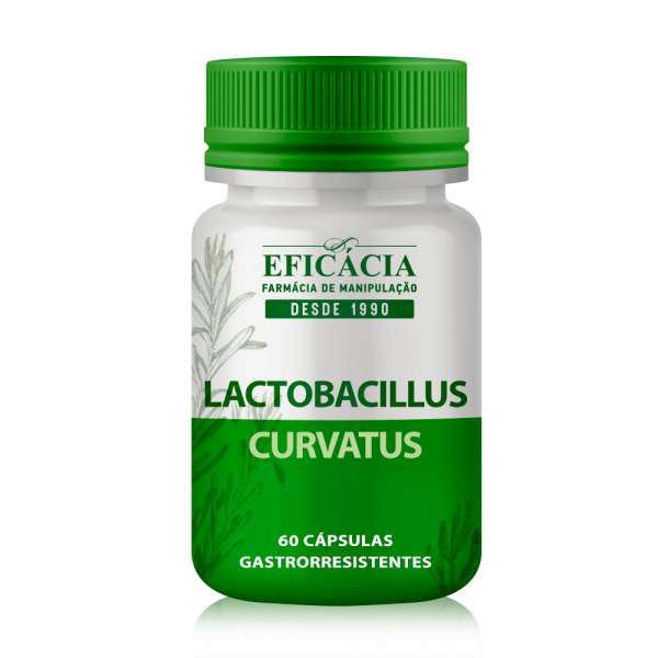 Lactobacillus Curvatus - 60 cápsulas gastrorresistentes
