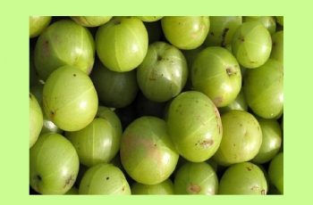 AMLA