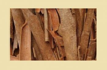 CINNAMON BARK – CANELA