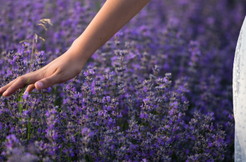 NATUR-CELL LAVANDA